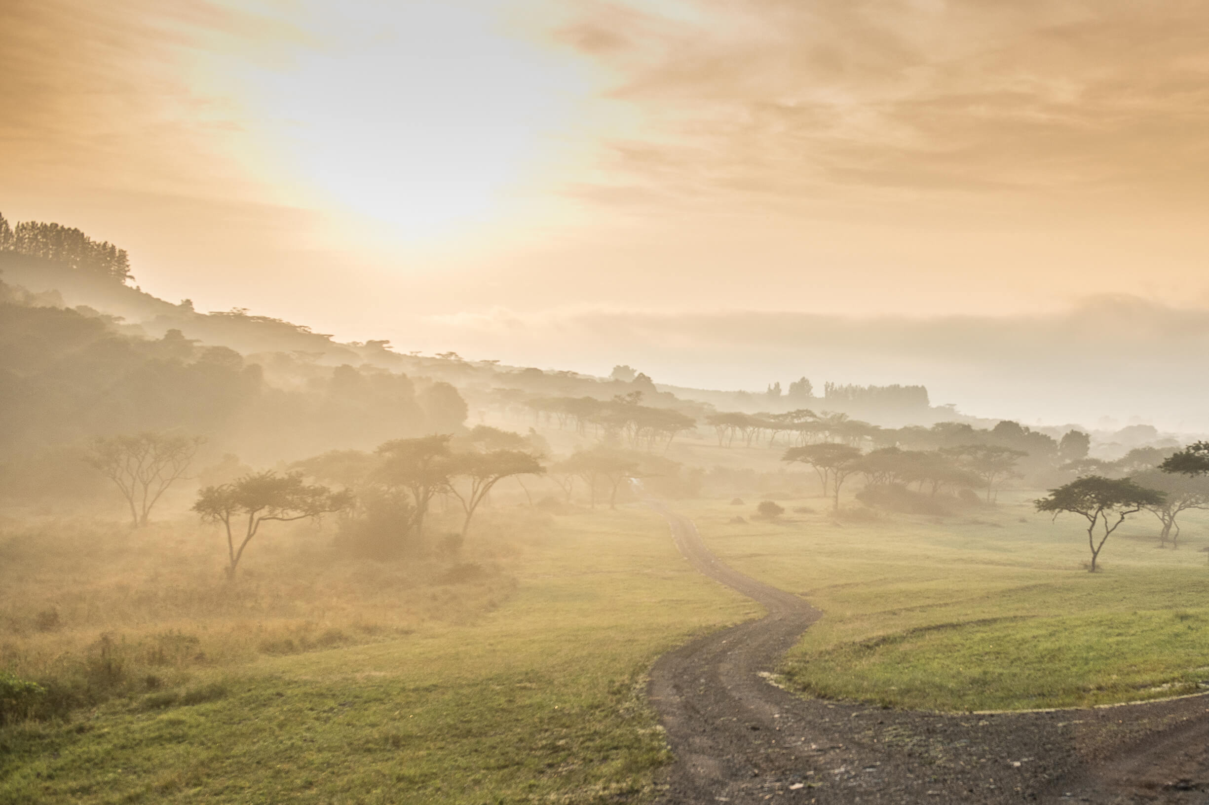 4837Chris Allan Photography-